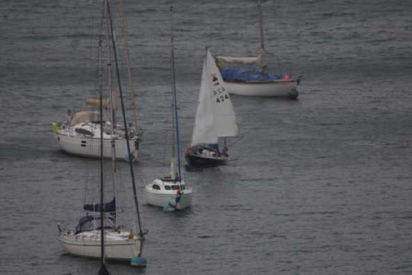 14 July 2023 - 07:56:27
Despite the weather, someone thought it would be good to get the sails up. Step forward yacht Mwera.
-----------------
Sailing in a stiff breeze.